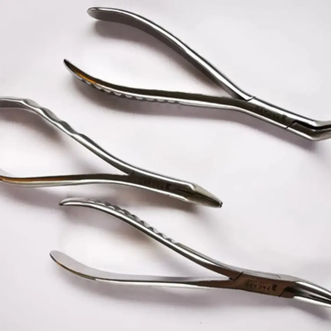 Set 3 Forcep Extracción Raíces Dentales Premium Marca Pacard Extracción Raíces 5