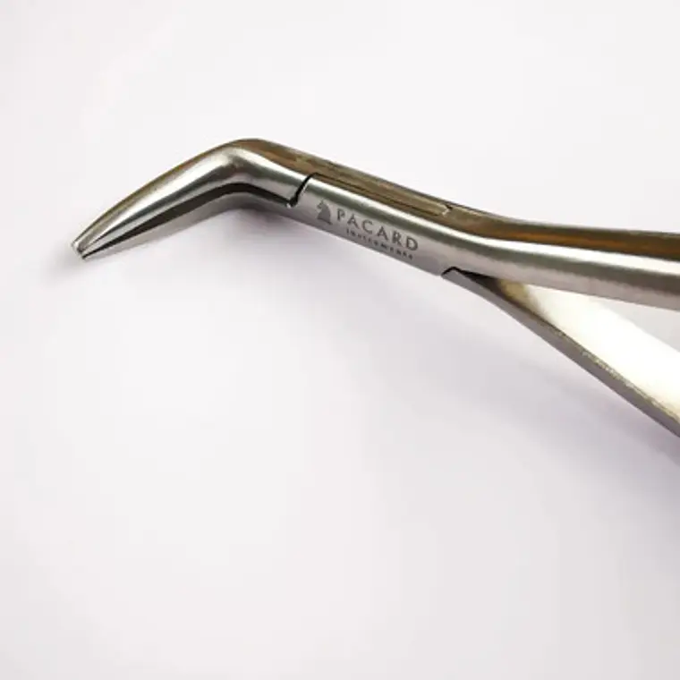 Set 3 Forcep Extracción Raíces Dentales Premium Marca Pacard Extracción Raíces 7