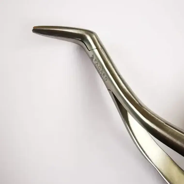 Set 3 Forcep Extracción Raíces Dentales Premium Marca Pacard Extracción Raíces 10