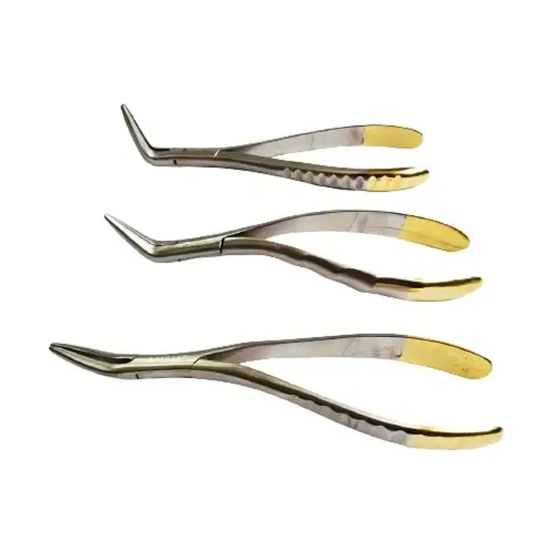 Set 3 Forcep Extracción Raíces Dentales Pacard Mango Dorado 4