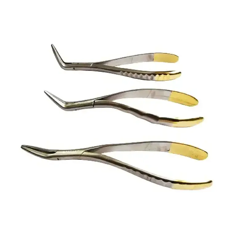 Set 3 Forcep Extracción Raíces Dentales Pacard Mango Dorado 4