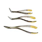 Set 3 Forcep Extracción Raíces Dentales Pacard Mango Dorado - Miniatura 4