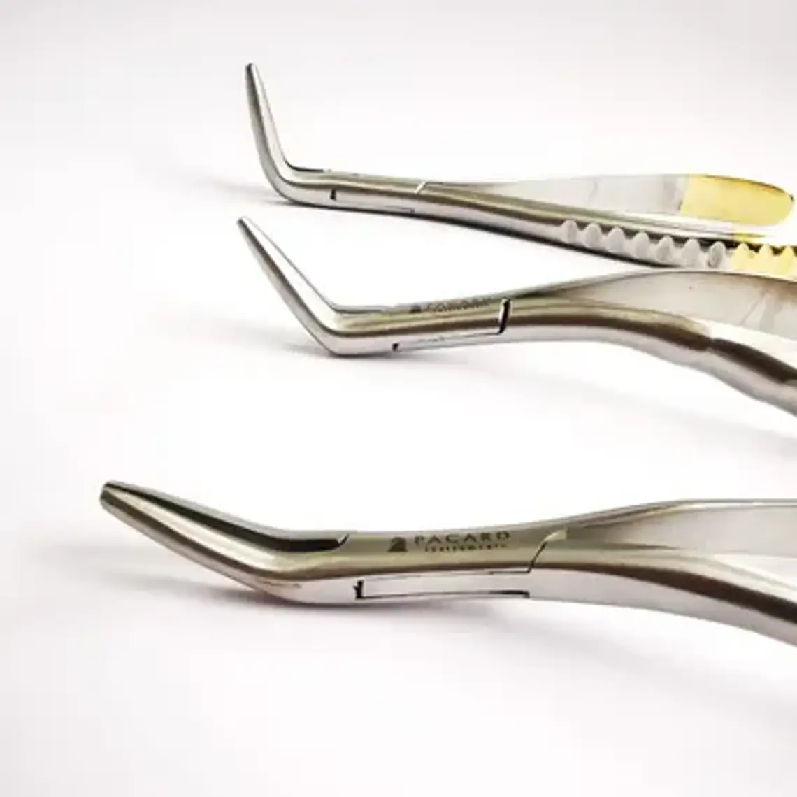 Set 3 Forcep Extracción Raíces Dentales Pacard Mango Dorado 5
