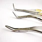 Set 3 Forcep Extracción Raíces Dentales Pacard Mango Dorado - Miniatura 5
