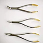 Set 3 Forcep Extracción Raíces Dentales Pacard Mango Dorado - Miniatura 6