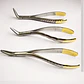 Set 3 Forcep Extracción Raíces Dentales Pacard Mango Dorado - Miniatura 7