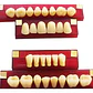 Tableta De Dientes De Acrílico Marche Posteriores Superiores - Miniatura 2