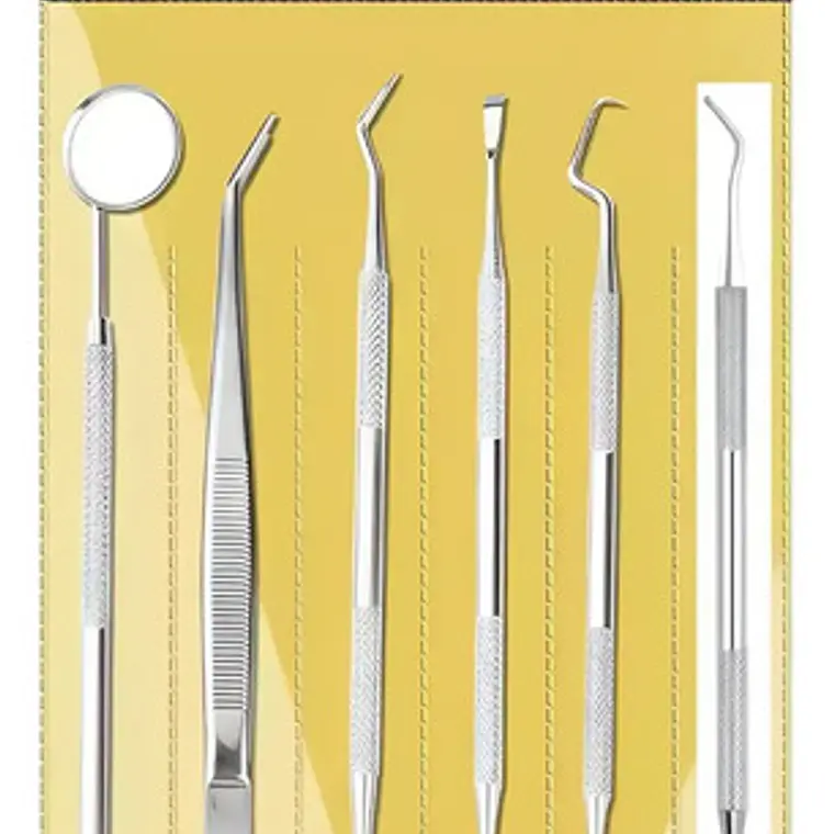 Set Xl Examen Dental 6 Piezas Espejo Pinza Sonda Y Más 1