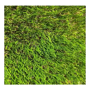 Pasto Sintetico 35mm Premium Memoria Rollo 2x5 Metros 