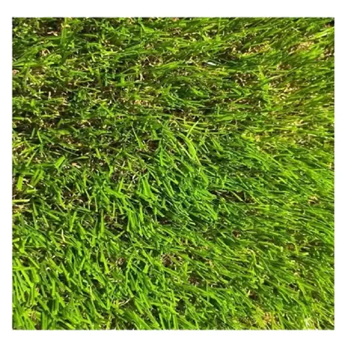 Pasto Sintetico 35mm Premium Memoria Rollo 2x5 Metros  1