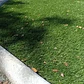 Pasto Sintetico 35mm Premium Memoria Rollo 2x5 Metros  - Miniatura 5