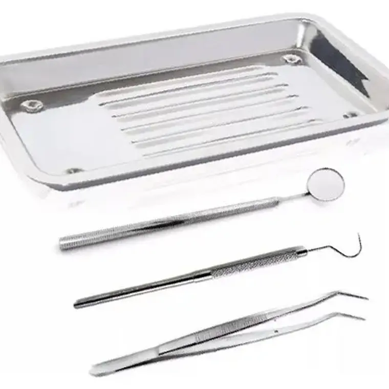Set De Examen Dental Con Bandeja Acero Completo Calidad 5