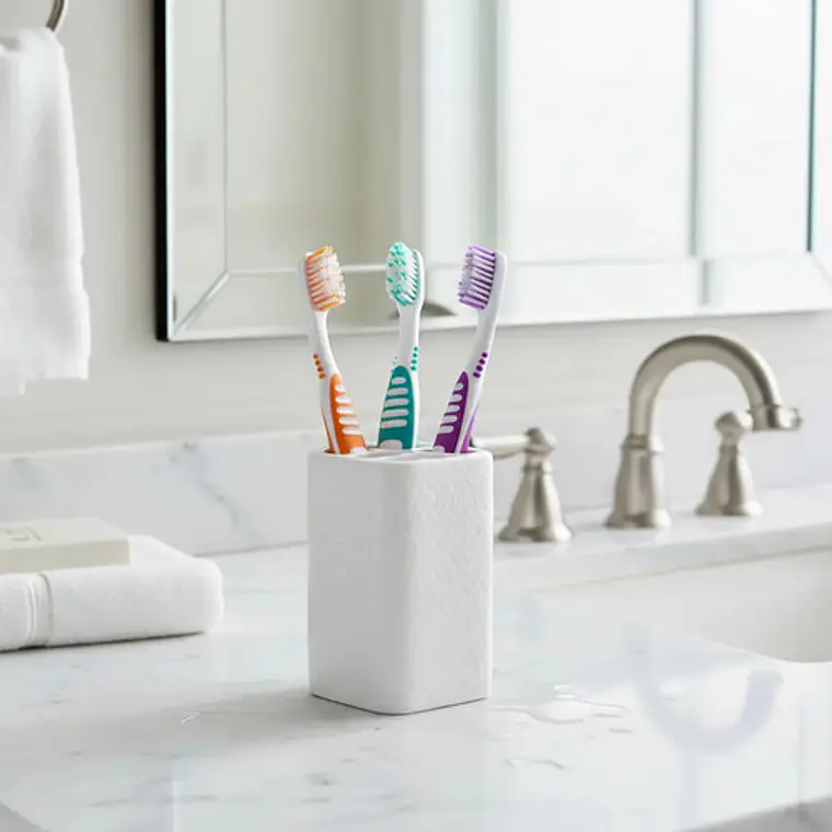 Cepillo Para Prótesis Dental Calidad Pacard Doble 12