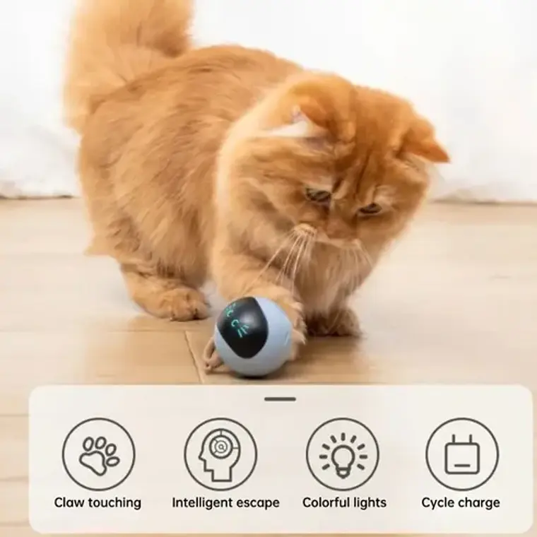 Bola Robot Juguete Gato Eléctrico Interactivo Inteligent Usb Blanco 3