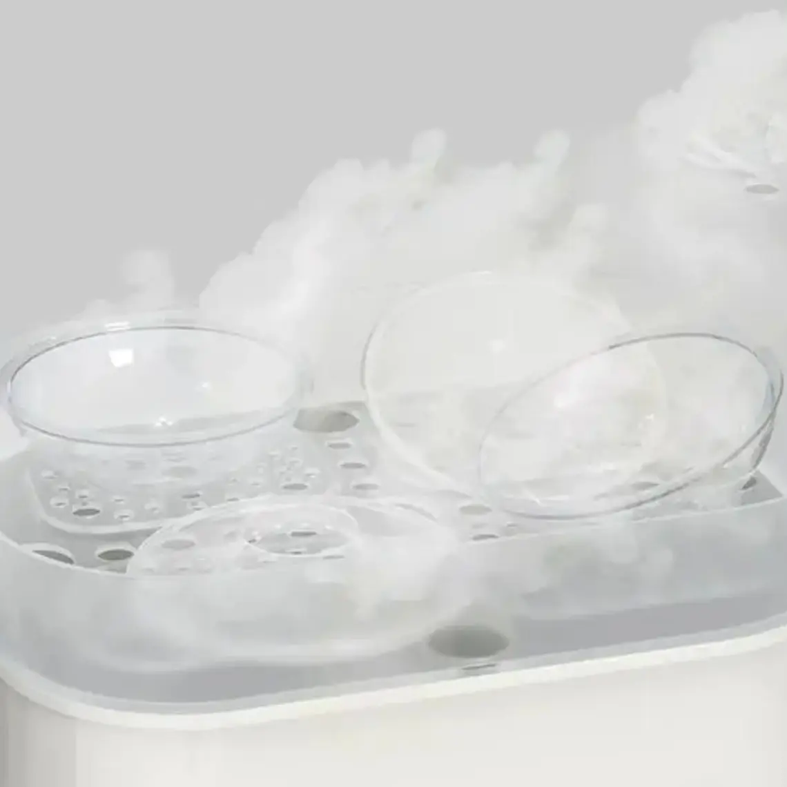 Protectores Mamarios Amapola Recolectora Calidad Libre Bpa Transparente 5