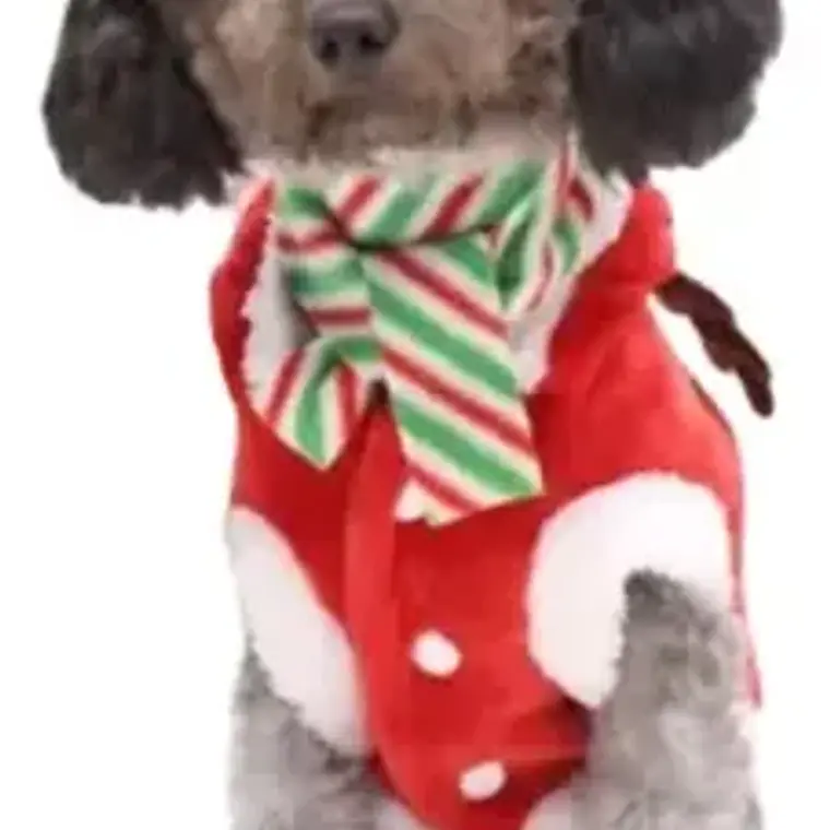 Disfraz Perros Gatos Traje Santa Navidad Calidad Tamaños 6