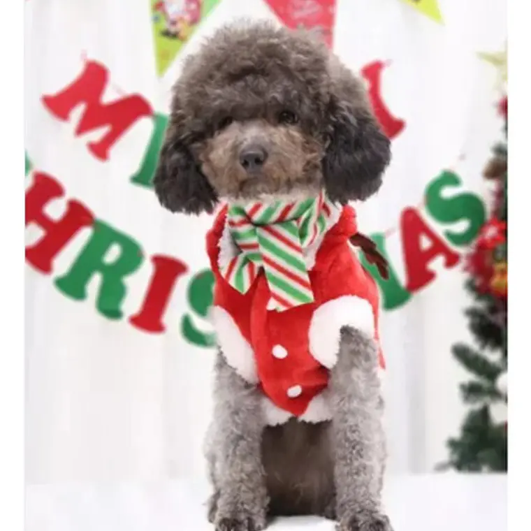 Disfraz Perros Gatos Traje Santa Navidad Calidad Tamaños 19