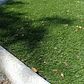 Pasto Sintetico 35mm Premium Memoria Rollo 2x10 Metros  - Miniatura 5