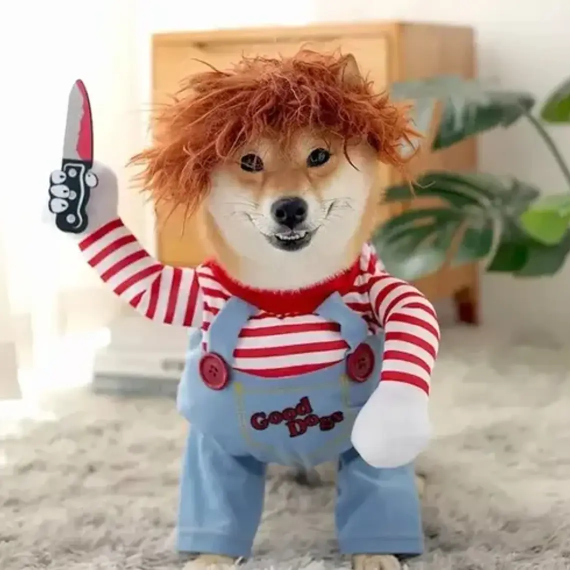 Disfraz Chucky Perros Gatos Halloween Tamaños 14