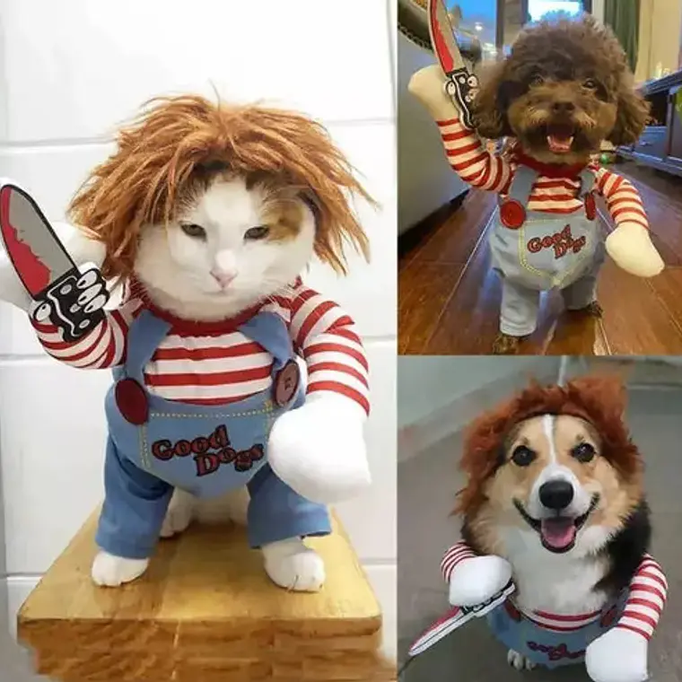 Disfraz Chucky Perros Gatos Halloween Tamaños 15