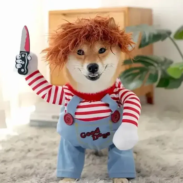 Disfraz Chucky Perros Gatos Halloween Tamaños 22