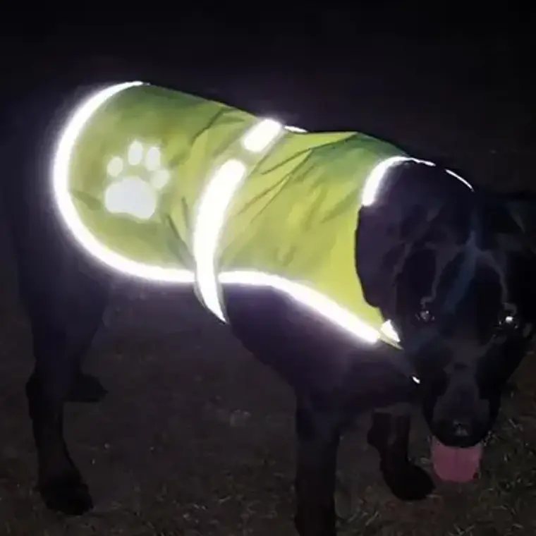 Chaleco Reflectante Paseo Seguro Mascota Perros Fluorescente 11