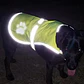Chaleco Reflectante Paseo Seguro Mascota Perros Fluorescente - Miniatura 19