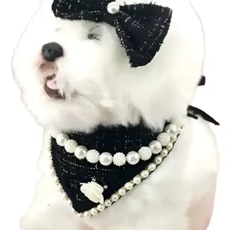 Traje Mascotas Perro/gatos Cintillo Humita Bandana Perlas 1