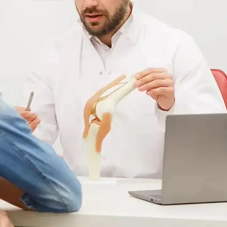 Modelo Anatómico De Rodilla Con Ligamentos, Para Estudio Y Enseñanza 3