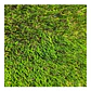 Oferta Pasto Sintético Ornamental Realista 35mm X Mt2 - Miniatura 2