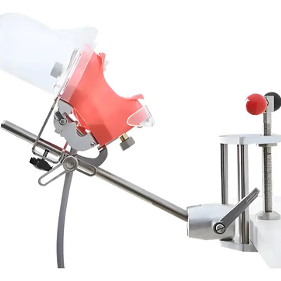Fantoma Dental Maniquí Con Tipodento Práctica Odontología 3