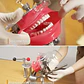 Fantoma Dental Maniquí Con Tipodento Práctica Odontología - Miniatura 4