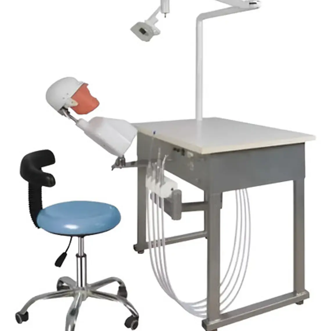 Fantoma Dental Maniquí Con Tipodento Práctica Odontología 10