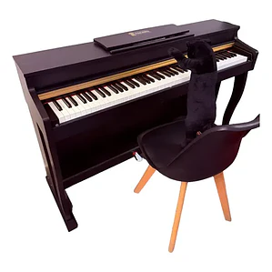 Piano Digital Pacard Realista 88 Teclas Madera Usb