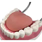 Modelo Dental Arcada Xxl 6 Veces Tamaño Real Enseñanza Salud - Miniatura 5