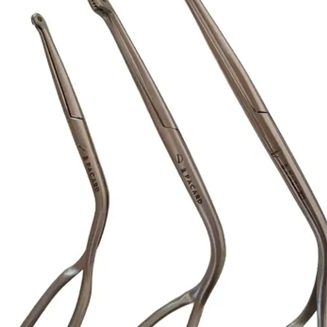 Pinza Magill De Acero Inoxidable Adulto O Pediátrica Pacard 21