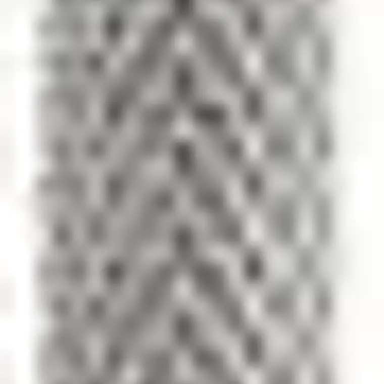 Lima Para Hueso Acero Inoxidable Pacard Instruments 4