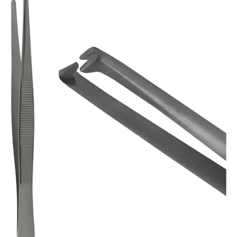 Pinza Quirúrgica Dientes De Ratón 14cms Pacard 14cm 1