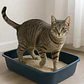 Arena Sanitaria Aglutinante Easy Clean Emilypets 20k Premium - Miniatura 3
