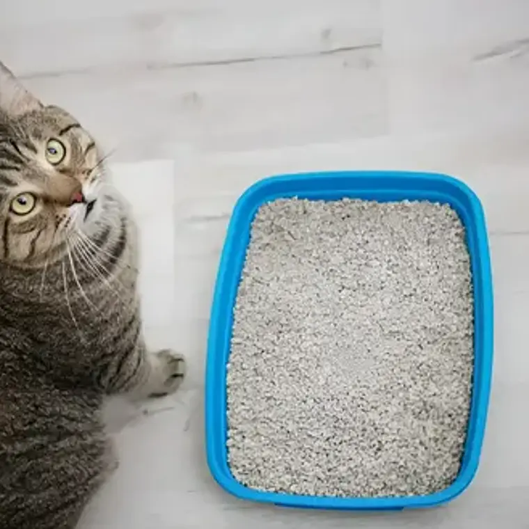 Arena Sanitaria Aglutinante Easy Clean Emilypets 20k Premium 4