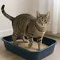 Arena Sanitaria Aglutinante Easy Clean Emilypets 20k Premium - Miniatura 9