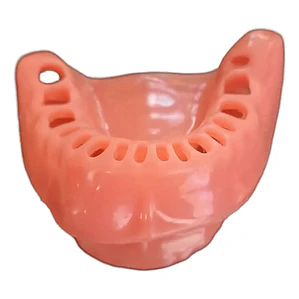 Encía De Repuesto Para Modelo Modelo Cirugía Oral Colgajos