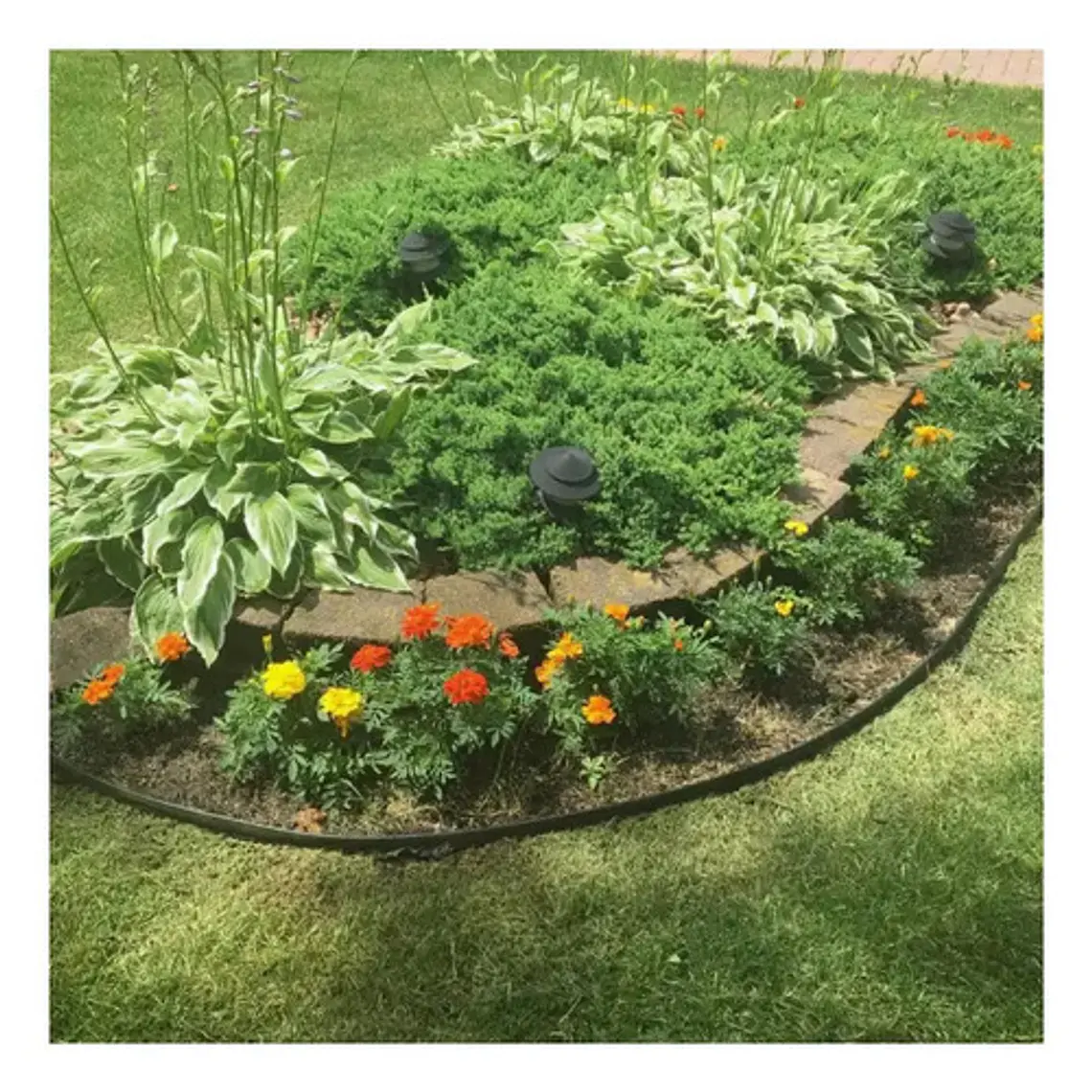 Limitador De Jardín Separador De Césped Verde O Negro 10m 15