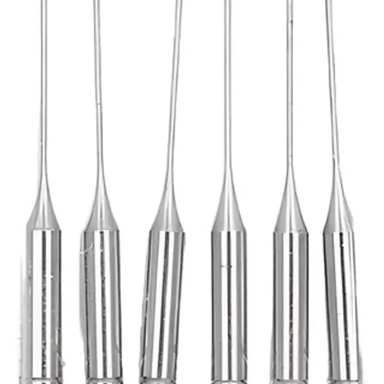 Fresas Gates Dental Endodoncia Despacho Express 2
