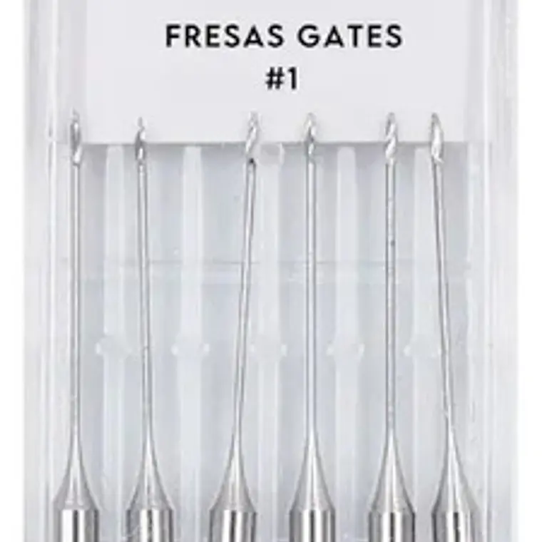 Fresas Gates Dental Endodoncia Despacho Express 19