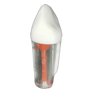 Diente Incisivo Central Para Práctica Endodoncia Enseñanza
