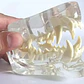 Modelo Dental Veterinario Perro Dentición Canina Calidad - Miniatura 4