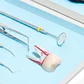 Molar Para Práctica Endodoncia Enseñanza Santiago - Miniatura 7