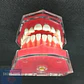 Modelo Acrílico Único Dientes Desmontables Encía Enseñanza - Miniatura 4