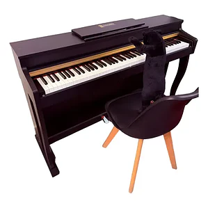 Piano Digital Pacard Realista 88 Teclas Madera Usb Color Negro